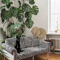 Modeo / Yrjö Kukkapuro Collection